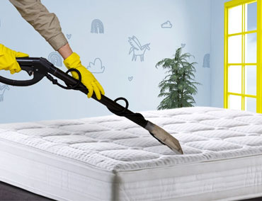 Mattress Shampoo